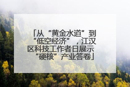 从“黄金水道”到“低空经济”，江汉区科技工作者日展示“硬核”产业答卷