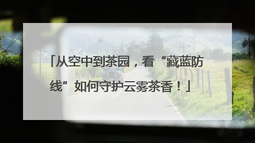从空中到茶园，看“藏蓝防线”如何守护云雾茶香！