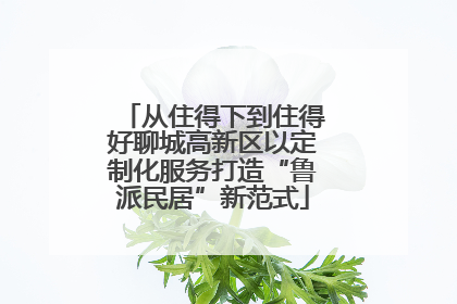 从住得下到住得好聊城高新区以定制化服务打造“鲁派民居”新范式