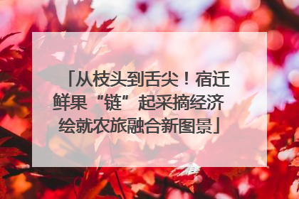 从枝头到舌尖！宿迁鲜果“链”起采摘经济绘就农旅融合新图景