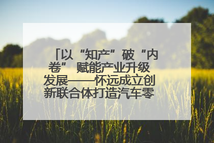 以“知产”破“内卷” 赋能产业升级发展——怀远成立创新联合体打造汽车零部件产业新高地