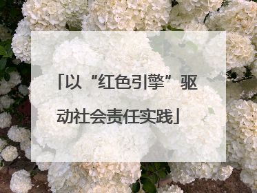 以“红色引擎”驱动社会责任实践