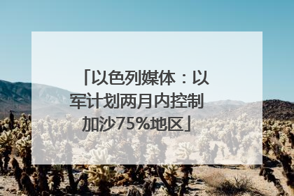 以色列媒体：以军计划两月内控制加沙75%地区