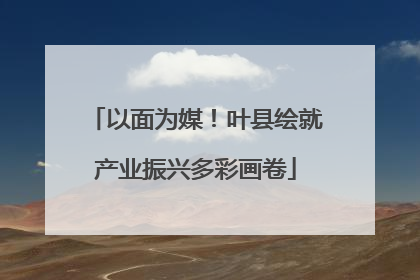 以面为媒！叶县绘就产业振兴多彩画卷