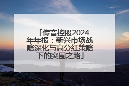 传音控股2024年年报：新兴市场战略深化与高分红策略下的突围之路