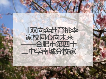 双向奔赴育桃李 家校同心向未来——合肥市第四十二中学南城分校家长学校期末总结会圆满召开