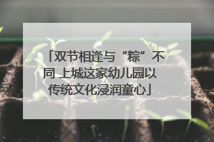 双节相逢与“粽”不同 上城这家幼儿园以传统文化浸润童心
