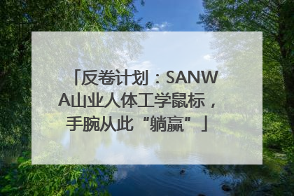反卷计划：SANWA山业人体工学鼠标，手腕从此“躺赢”
