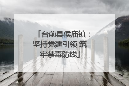 台前县侯庙镇：坚持党建引领 筑牢禁毒防线