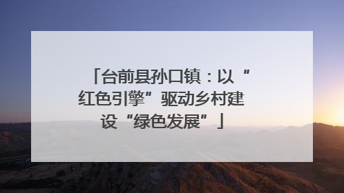 台前县孙口镇：以“红色引擎”驱动乡村建设“绿色发展”