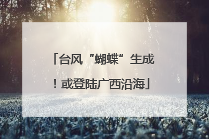 台风“蝴蝶”生成！或登陆广西沿海