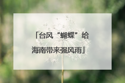 台风“蝴蝶”给海南带来强风雨