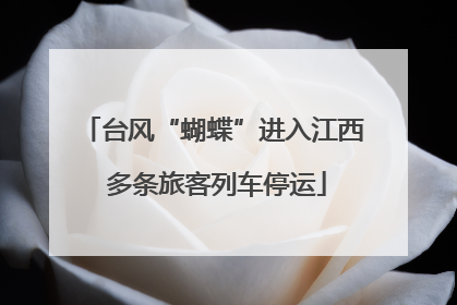 台风“蝴蝶”进入江西 多条旅客列车停运