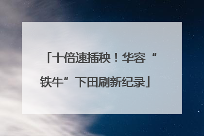 十倍速插秧！华容“铁牛”下田刷新纪录