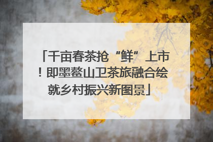 千亩春茶抢“鲜”上市！即墨鳌山卫茶旅融合绘就乡村振兴新图景