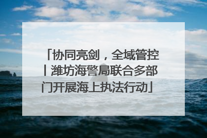 协同亮剑，全域管控丨潍坊海警局联合多部门开展海上执法行动