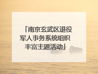 南京玄武区退役军人事务系统组织丰富主题活动