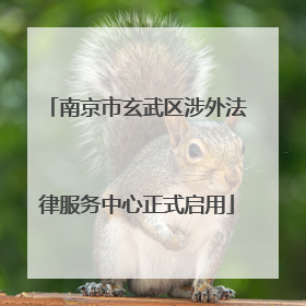 南京市玄武区涉外法律服务中心正式启用