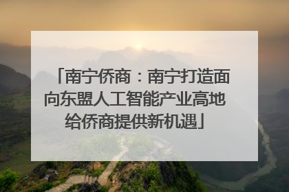 南宁侨商：南宁打造面向东盟人工智能产业高地给侨商提供新机遇