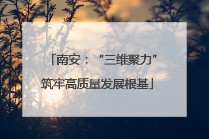 南安：“三维聚力”筑牢高质量发展根基