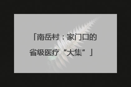 南岳村：家门口的省级医疗“大集”