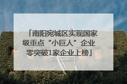 南阳宛城区实现国家级重点“小巨人”企业零突破1家企业上榜