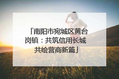 南阳市宛城区黄台岗镇：共筑信用长城 共绘营商新篇