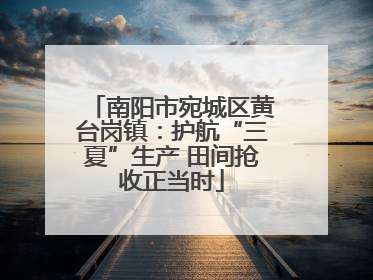 南阳市宛城区黄台岗镇：护航“三夏”生产 田间抢收正当时