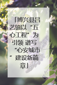 博兴县吕艺镇以“五心工程”为引领 谱写“心安城市”建设新篇章