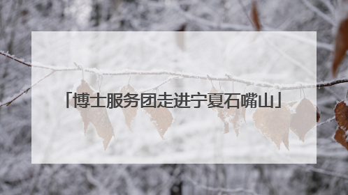 博士服务团走进宁夏石嘴山