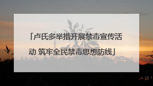 卢氏多举措开展禁毒宣传活动 筑牢全民禁毒思想防线