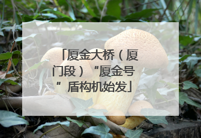 厦金大桥（厦门段）“厦金号”盾构机始发