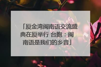 厦金湾闽南语交流盛典在厦举行 台胞：闽南语是我们的乡音