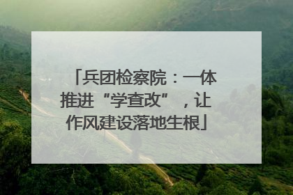 兵团检察院：一体推进“学查改”，让作风建设落地生根