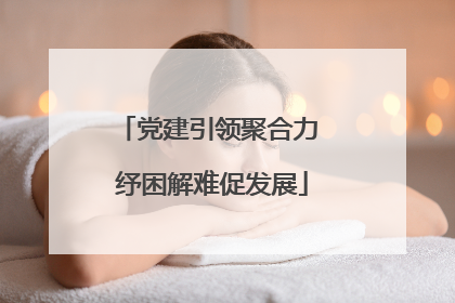 党建引领聚合力 纾困解难促发展