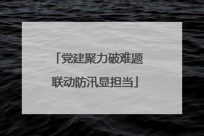 党建聚力破难题 联动防汛显担当