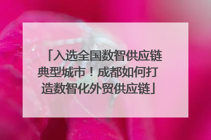 入选全国数智供应链典型城市！成都如何打造数智化外贸供应链