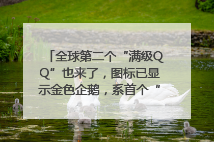 全球第二个“满级QQ”也来了，图标已显示金色企鹅，系首个“满级QQ”的小号