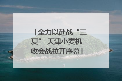 全力以赴战“三夏” 天津小麦机收会战拉开序幕