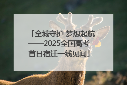 全城守护 梦想起航——2025全国高考首日宿迁一线见闻