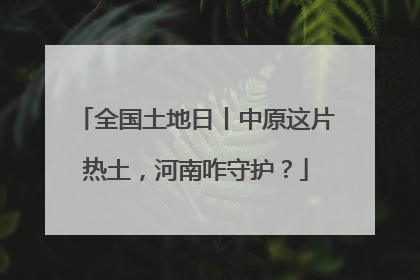 全国土地日丨中原这片热土，河南咋守护？