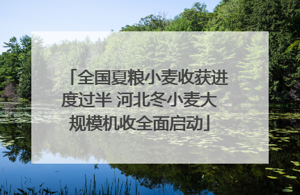全国夏粮小麦收获进度过半 河北冬小麦大规模机收全面启动