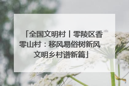 全国文明村丨零陵区香零山村：移风易俗树新风 文明乡村谱新篇