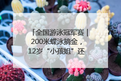 全国游泳冠军赛｜200米蝶泳摘金，12岁“小孩姐”还能制造多少惊喜？