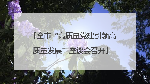 全市“高质量党建引领高质量发展”座谈会召开
