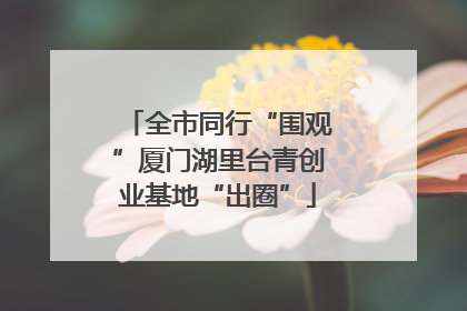 全市同行“围观”厦门湖里台青创业基地“出圈”