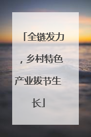 全链发力，乡村特色产业拔节生长