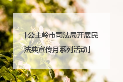 公主岭市司法局开展民法典宣传月系列活动