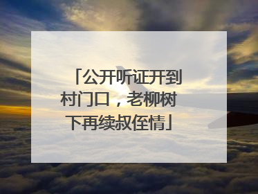 公开听证开到村门口，老柳树下再续叔侄情