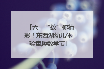 六一“数”你精彩！东西湖幼儿体验童趣数学节